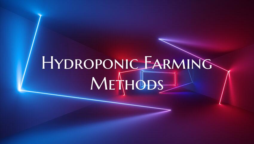 Hydroponic Farming Methods