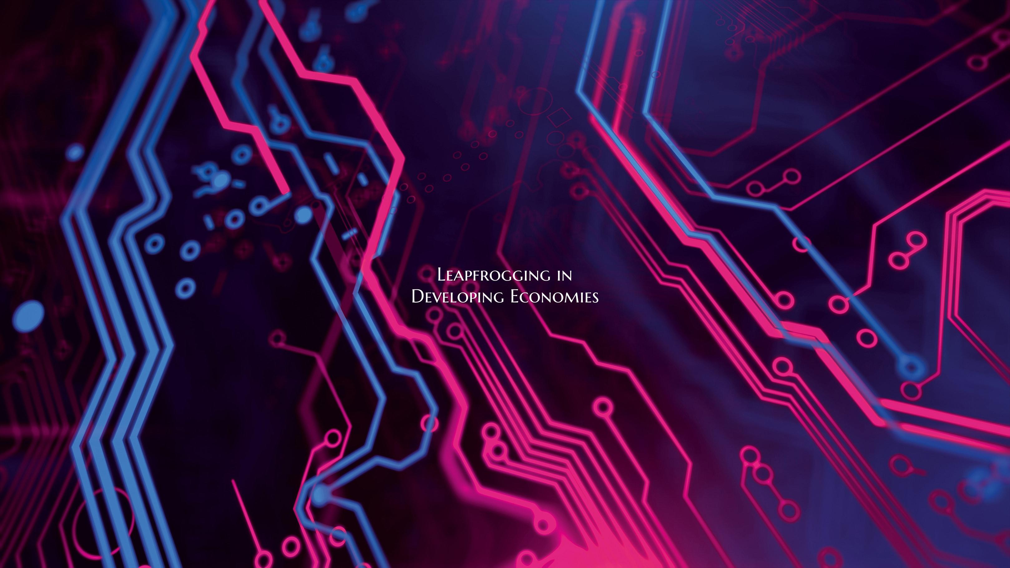 Leapfrogging in Developing Economies